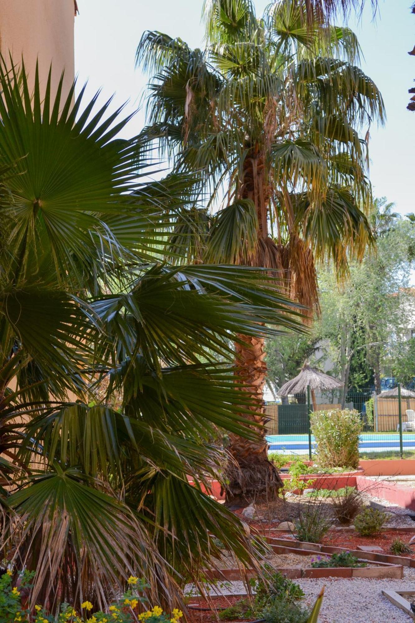 Malibu Village Canet-en-Roussillon Eksteriør bilde